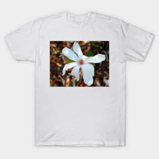 February Magnolia T-Shirt